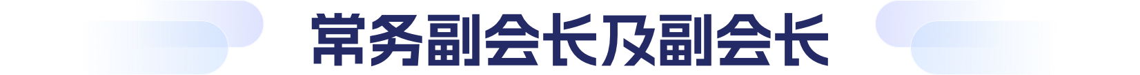 常务副会长及副会长